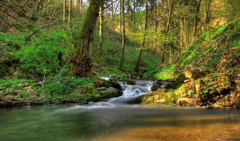 leaf, river, falling, travel, springtime, outdoors, waterfall, wilderness Area, growth, motion, gleams, tranquil Scene, tropical Rainforest, nature, austria klein-pyokhlarn