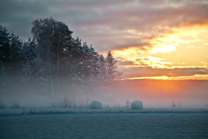 winter, snow, trees, North, 5K, Sunset, Sweden, fog