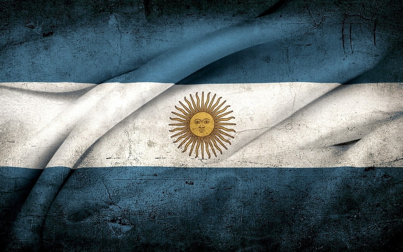 flower, shadow, indoors, still life, day, Argentina, grunge, 720P, pattern, blue, flag, architecture, flowering plant, no people, directly above, white color