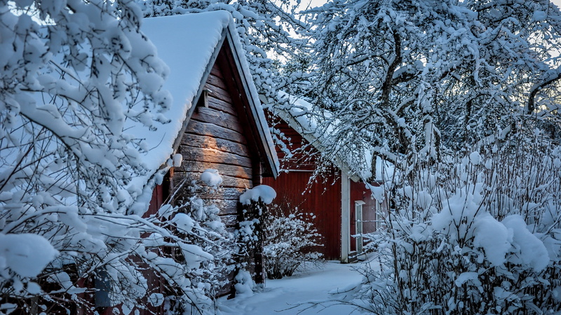 tree, white, snowcapped mountain, beem, nature, land, day, field, cold, sun, white color, house, cottage, forzen, red, outdoors, covering, warm, built structure