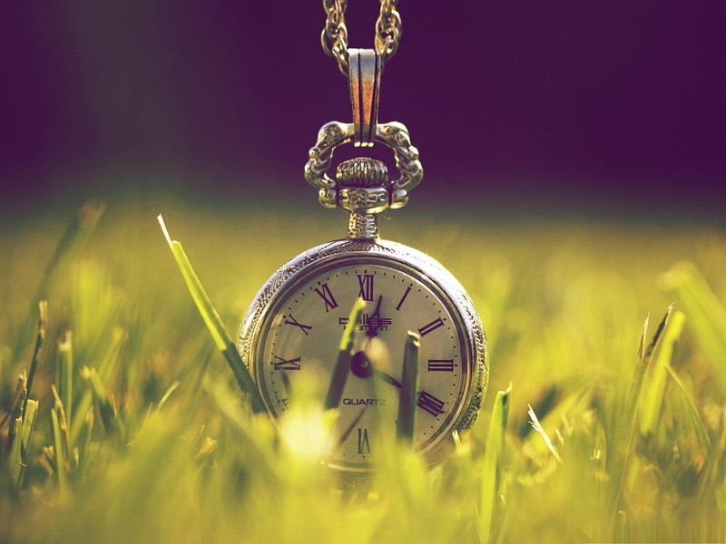 grass, old, photo art, pocket, watch, 1080P, time, 3d and abstract