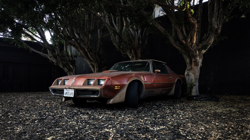 vintage, 2K, coupe, sports car, 733 n fairfax ave, mode of transportation, motor vehicle, license plate, pontiac, los angeles, firebird, nature, tree trunk