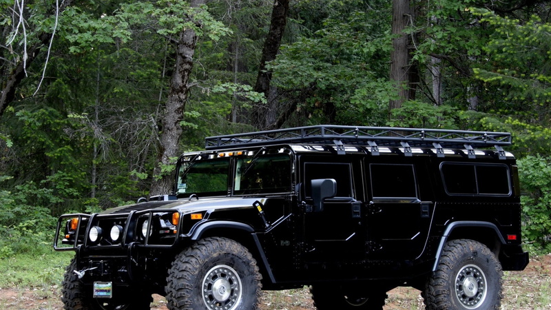 abandoned, 1080P, plant, forest, land vehicle, nature, no people, jeep, day, transportation, tree, mode of transportation, stationary, motor vehicle, gray