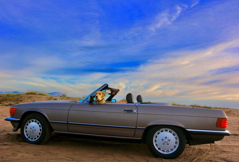 luxury, outdoors, cloud - sky, clasic car, vintage car, sunrise, road trip, outdoor, sky, 5K, car, dog, wake, sunset, retro styled, land, no people, land vehicle