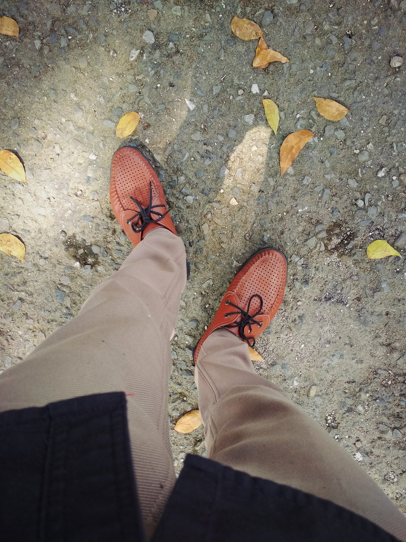 men, directly above, one person, standing, human body part, casual clothing, leaf, clasic, high angle view, real people, human leg, leisure activity, day