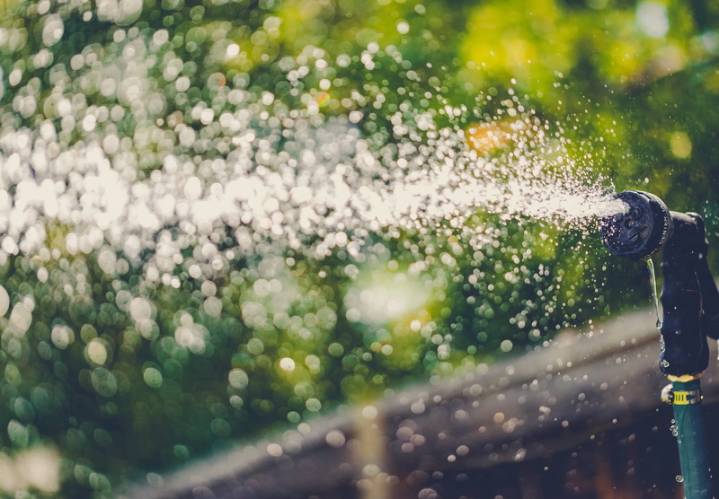 freshness, raindrop, purity, 1080P, rainy season, growth, plant, close-up, drop, garden, focus on foreground, motion, no people, window, day, spraying