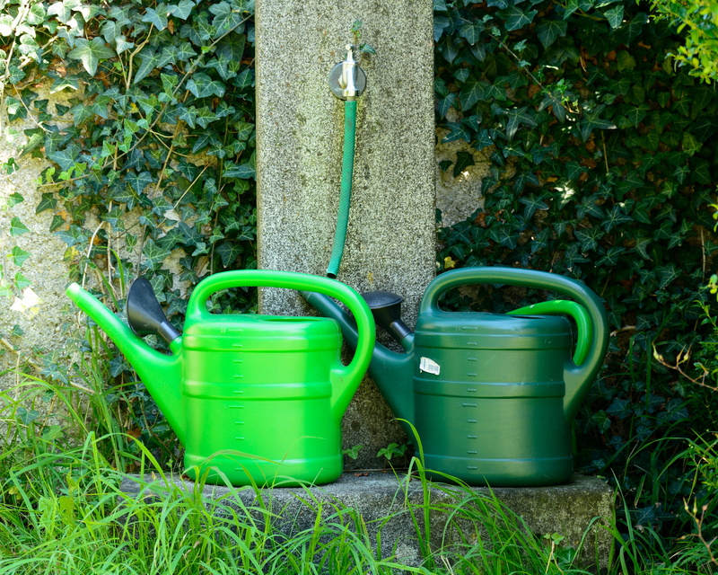 plant, watering, day, garden, plastic, nature, irrigation, architecture, outdoors, hose, container, 4K, watering hole, gardening equipment, land, cans