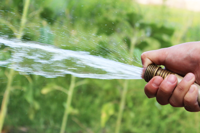 close-up, hand, focus on foreground, finger, summer, 5K, lawn, green, agriculture, day, human body part, one person, gardening equipment, human hand, spraying