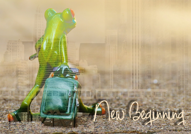 figurine, cute, fun, domestic life, holdall, beginning, animal, new beginning, close-up, travel, people, text, no people, frog, go away, figure, boot, 2K