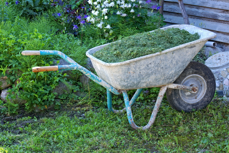 wheel, land, 4K, high angle view, wheelbarrow, front or back yard, growth, outdoors, mode of transportation, garden, wheelbarrows, no people, green color