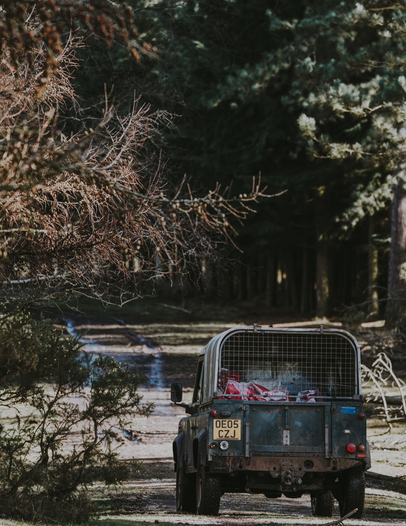 forest, old, vehicle, landrover, motor vehicle, car, 5K, nature, land, abandoned, gray, transportation, driving, outdoors, water, deterioration, tree