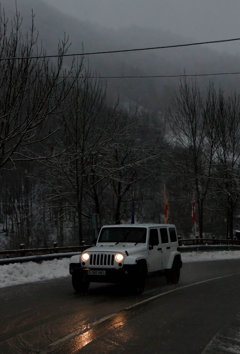 headlights, trees, forest, mode of transportation, engine, nature, snowstorm, winter, architecture, motor vehicle, plant, car, snow, mountains, cantabria