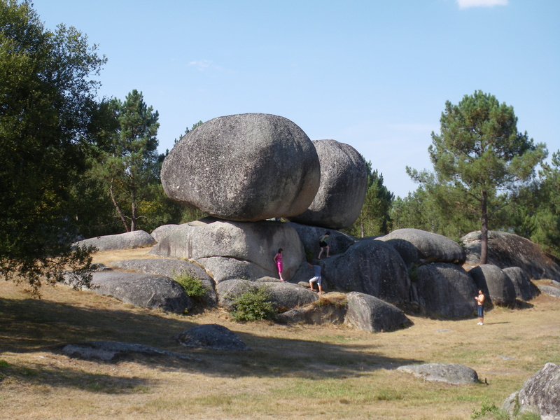 scenics - nature, tranquility, no people, beauty in nature, sunlight, poetry, outdoors, rock, rock - object, growth, day, tranquil scene, rock formation