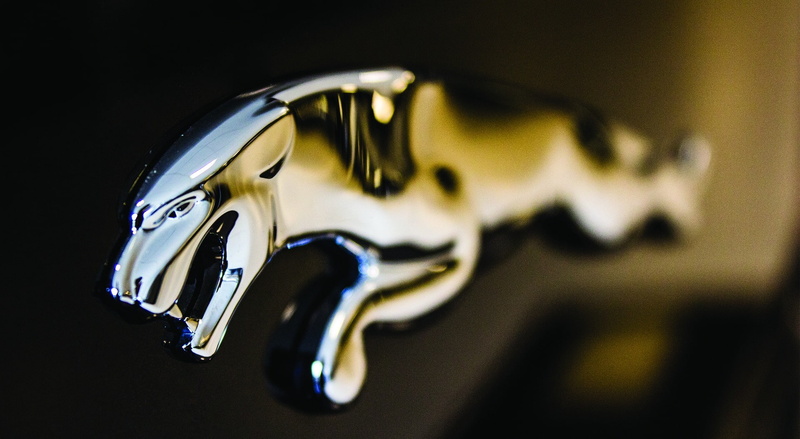 1080P, pattern, shiny, reflective, food and drink, car, emblem, focus on foreground, still life, Jaguar, jaguar xj, steel, Cars, studio shot, animal, logo