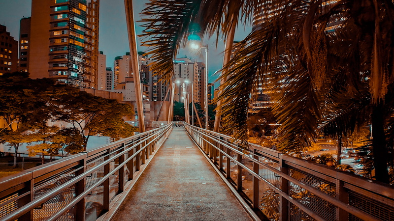 plant, banister, city, the way forward, 4K, night, direction, office building exterior, path, bridge, town, brazil, nature, moema, building exterior, r. minas de prata