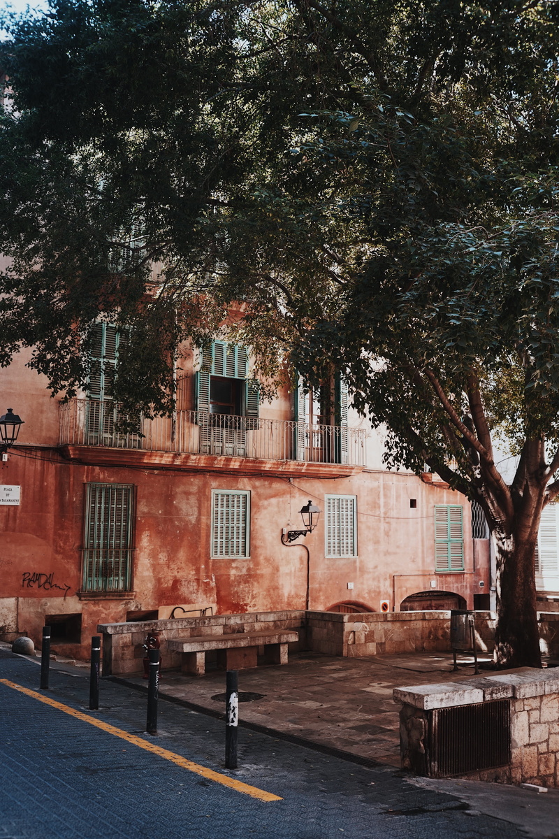 tree, plant, rural, 5K, day, architecture, sunlight, van, footpath, shelter, palma, nature, countryside, no people, building exterior, shutter, street