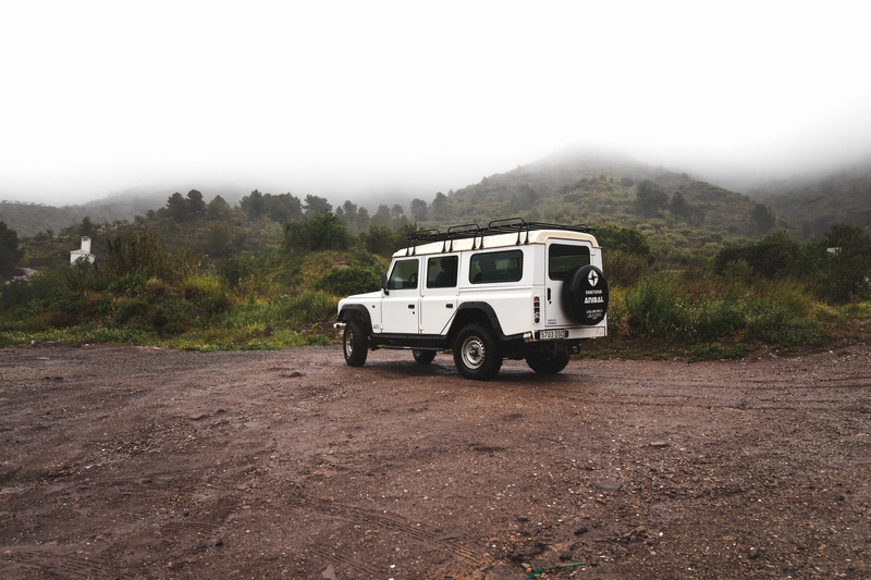 motor vehicle, machine, tree, grass, offroad, mode of transportation, sports utility vehicle, environment, automobile, bush, non-urban scene, sky, day