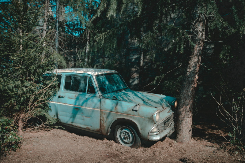 5K, tire, wheel, no people, car, truck, damaged, van, harry potter, obsolete, parked, decline, woodland, dirt road, transportation, abandoned, tree, forest