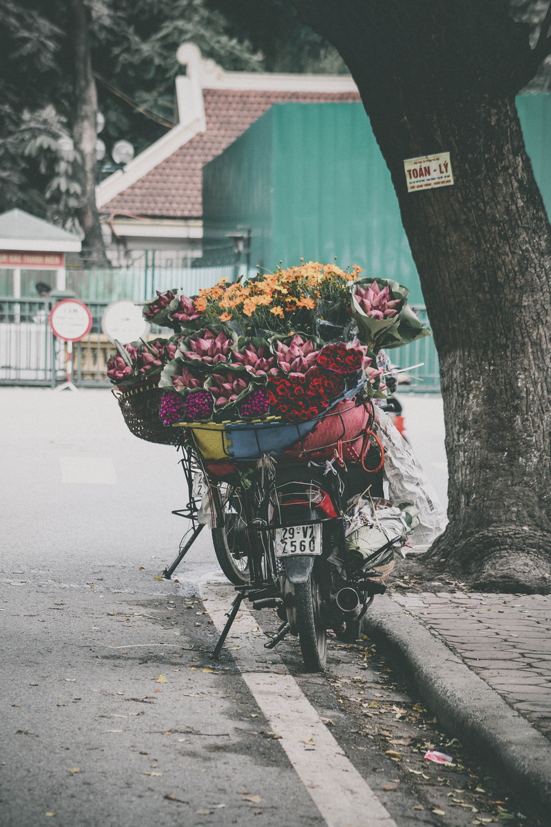 red, lot, no people, top, color, land vehicle, motorcycle, roses, transportation, 5K, street, flower, flowers, yellow, city, flowering plant, bundle, road