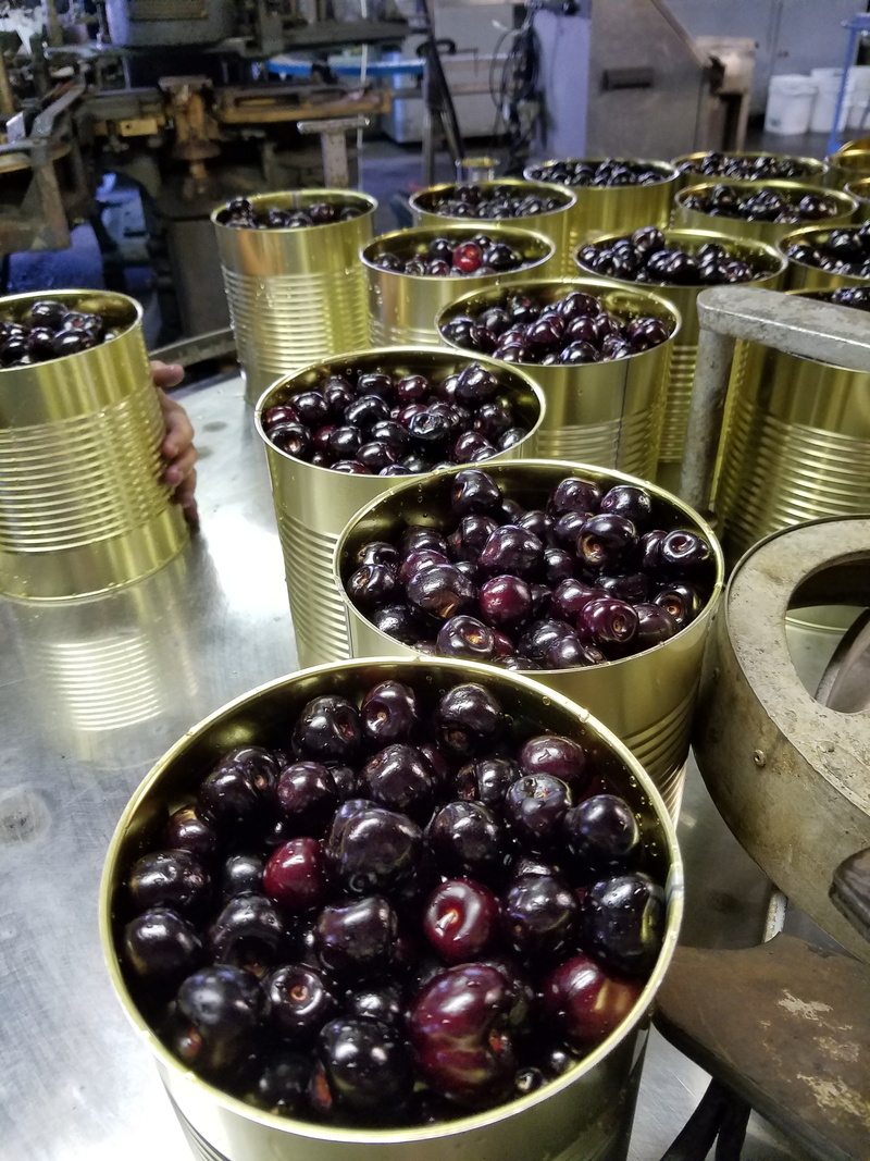 abundance, industry, machinery, fruit, tree, food, variation, 4K, choice, red, can, close-up, canned, large group of objects, gallon, business, day, olive