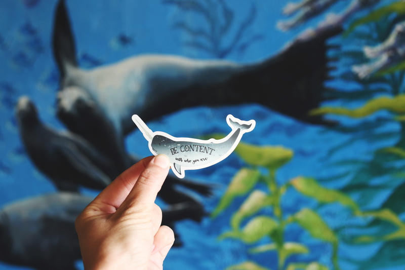 sticker, sticker mule, blue, decal, personal perspective, one person, underwater, human body part, close-up, Content, sea, whale, person, showing, 5K