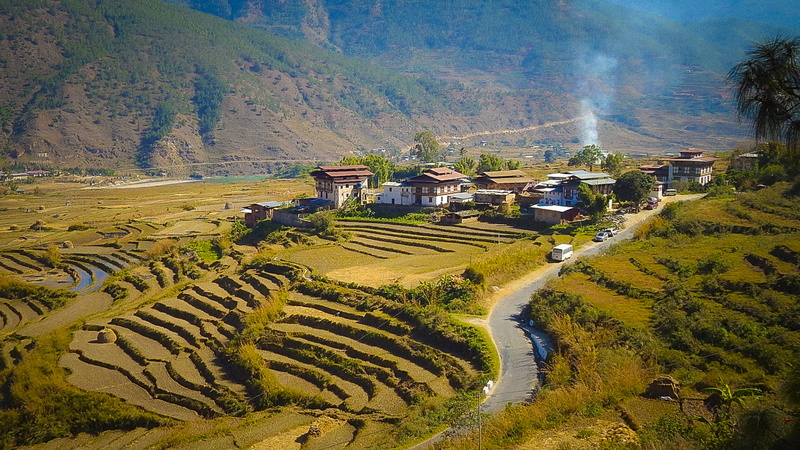 punakha, terraced field, himalayans, beauty in nature, outdoors, environment, terrace, scenics - nature, crop, plant, bhutan, agriculture, mountain, architecture