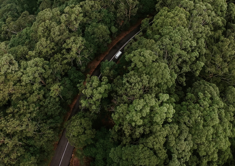 transportation, volkswagon, green Color, landscape, vehicle, summer, outdoors, travel, 2K, plant, nature, road trip, backgrounds, photography, street