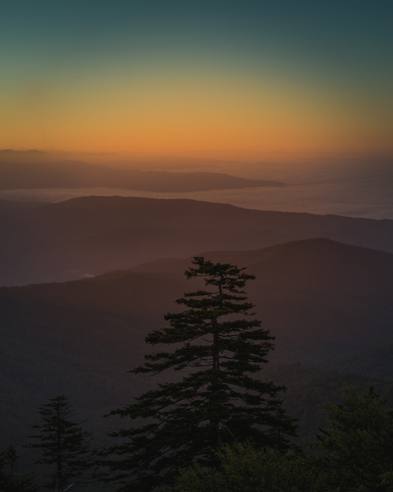 roadtrip, sunrise, 5K, near, nature, sunset, cloud, growth, silhouette, mountain, dark, fog, hour, non-urban scene, trees, land, forest, beauty in nature