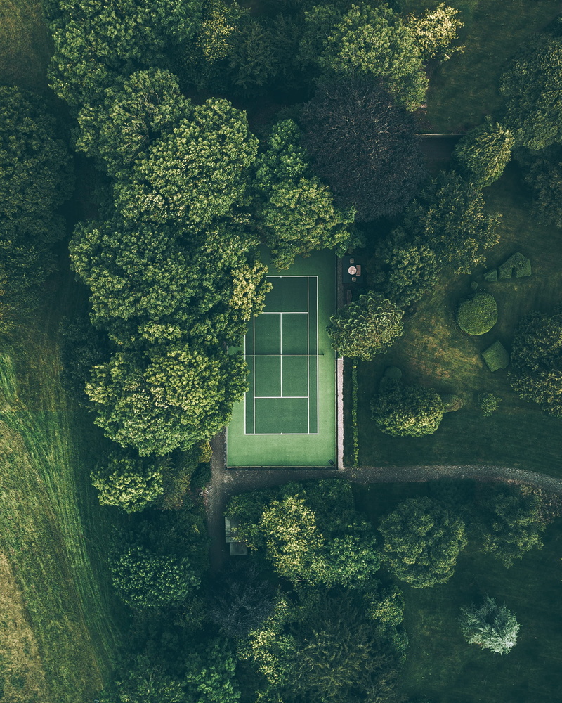 surrounded, ivy, building, moss, growth, no people, nature, creeper plant, aerial view, house, court, wall - building feature, window, building exterior