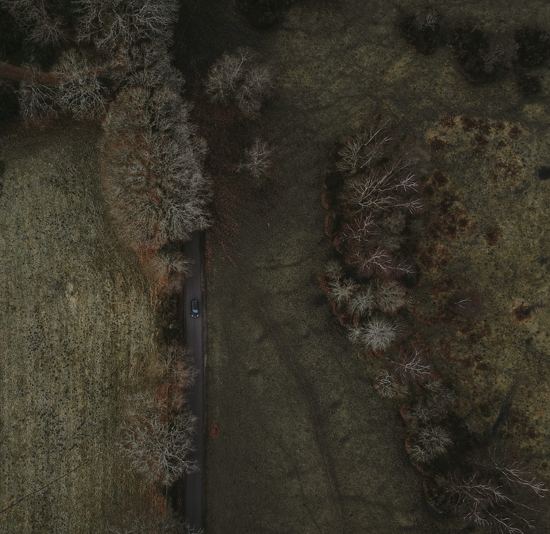 black, outdoors, branch, tree, architecture, woodland, transportation, aerial, car, from above, street, field, no people, forest, built structure, aerial view
