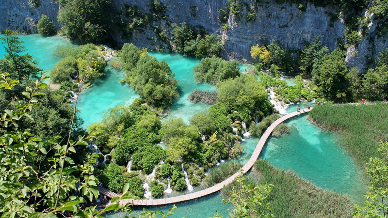 turquoise colored, day, trees, scenics - nature, beauty in nature, clean, aerial view, high angle view, park, forest, summer, rainforest, stream, plitvice lakes