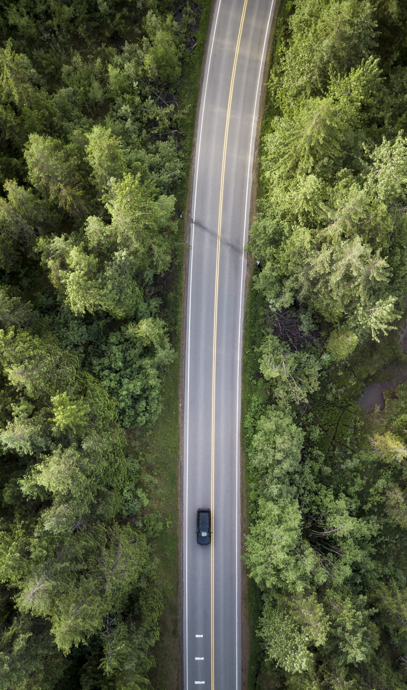 high angle view, 2K, land, forest, day, growth, grey, asphalt, nature, road, gray, alaska, daytime, motion, transportation, black, open road, green color