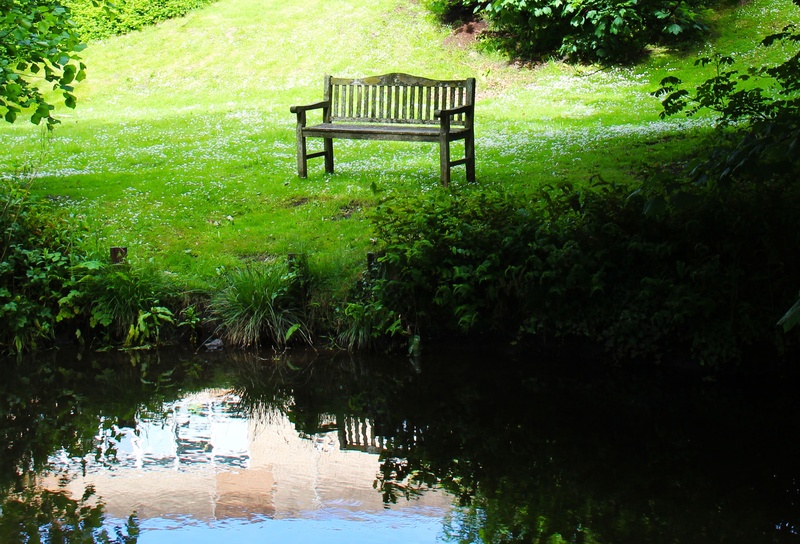 chair, daytime, beauty in nature, meadow, scenics - nature, tranquility, relaxation, foliage, leisure, outdoor, relax, scene, seat, park bench, alone, water