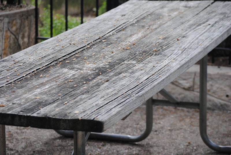 park, nature, vacation, travel, leisure, gray, season, fence, picnic, green, environment, scene, autumn, mountain, place, furniture, empty, close-up, nobody