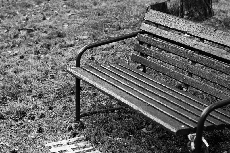 out, outside, wood, admiration, resting place, countryside, wooden, relaxed, hobby, focus on foreground, long way, absence, relaxation, sunlight, looseness