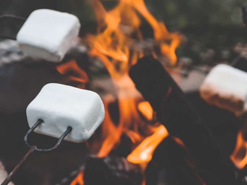 Campfire, fire - natural phenomenon, nature, fire, finnish, roasting, motion, near, heat - temperature, outdoors, focus on foreground, midsummer, Marshmallows