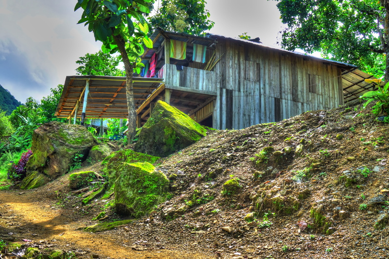 countryside, tree, nature, outdoors, Tourist, weathered, romantic, wood - material, huts, residential district, house, building, home, vacation, natural