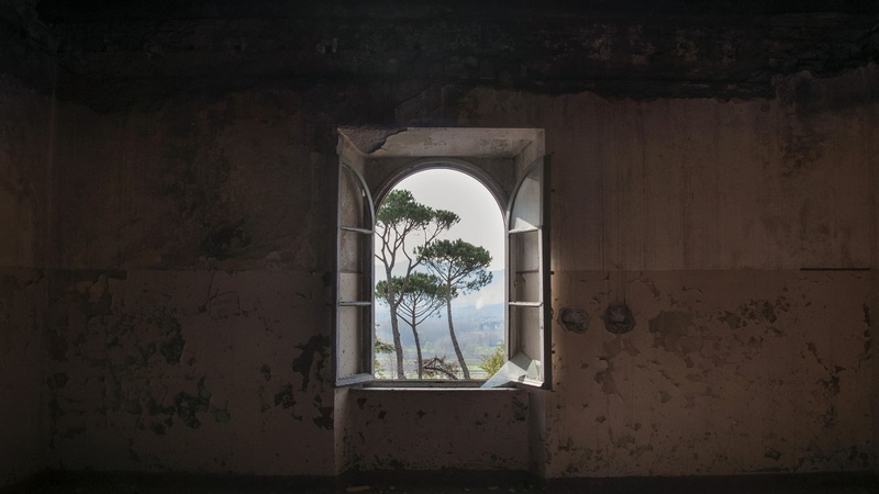 trees, window, nature, abandoned, sunlight, wall, interior, building, landscape, broken glass, 1080P
