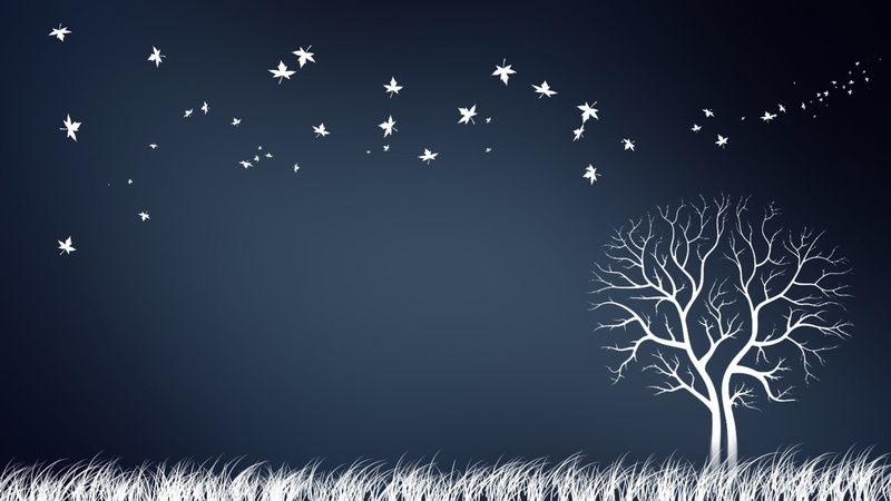 nature, artwork, trees, 1080P, grass, leaves, maple leaves, blue background, winter, minimalism