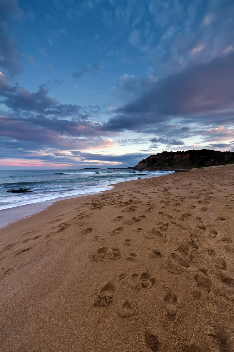 clouds, dusk, nature, sky, sunset, landscape, light, sand, outdoors, scenics, waves, brown, foot, Journey, steps, coastline, wave, 2K, beach, warriewood