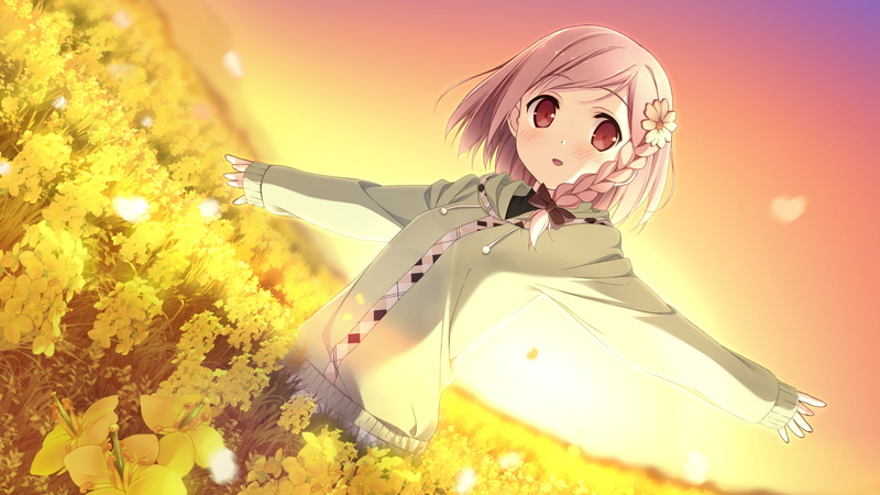 one person, sky, Kantoku, outdoors, flowering plant, females, young adult, nature, women, yellow, emotion, spooky, Your Diary, land, sunlight, plant, sunset