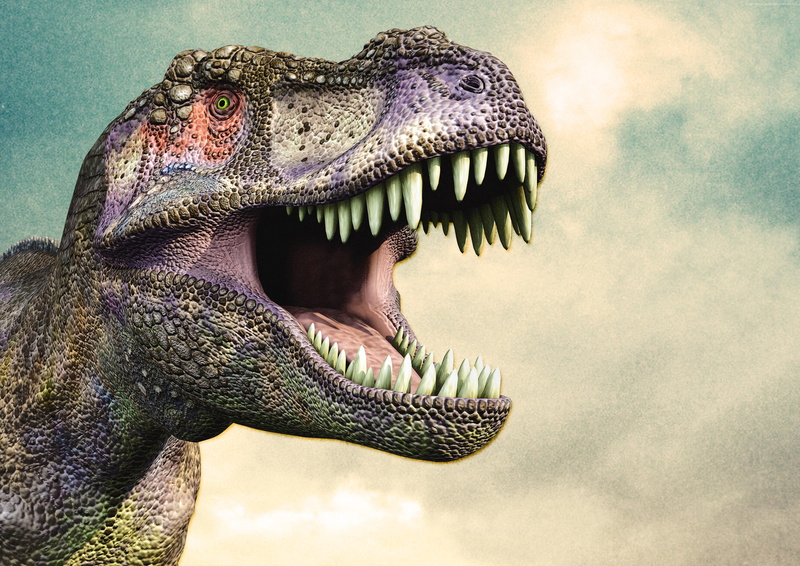 Tyrannosaurus, art, dinosaur, 2K