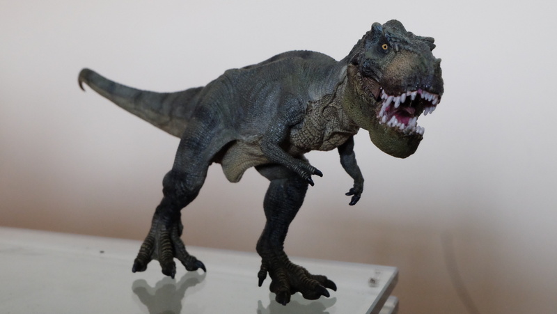 glass, shallow focus, mouth, t-rex, vertebrate, tyrannosaurus, no people, toy, animal mouth, indoors, gray, animal, focus, aggression, photography, Tyrannosaurus Rex