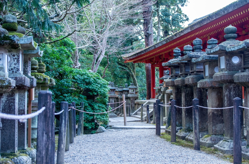 building, shrine, path, 4K, Asian architecture