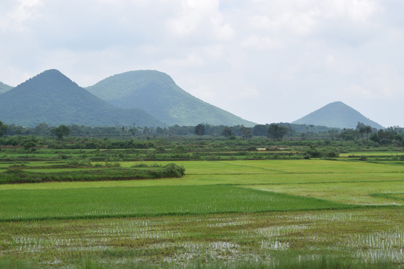 scenery, grass, no people, 5K, rural scene, dhenkanal, tranquil scene, scenics - nature, land, environment, plant, sky, tree, tranquility, green color