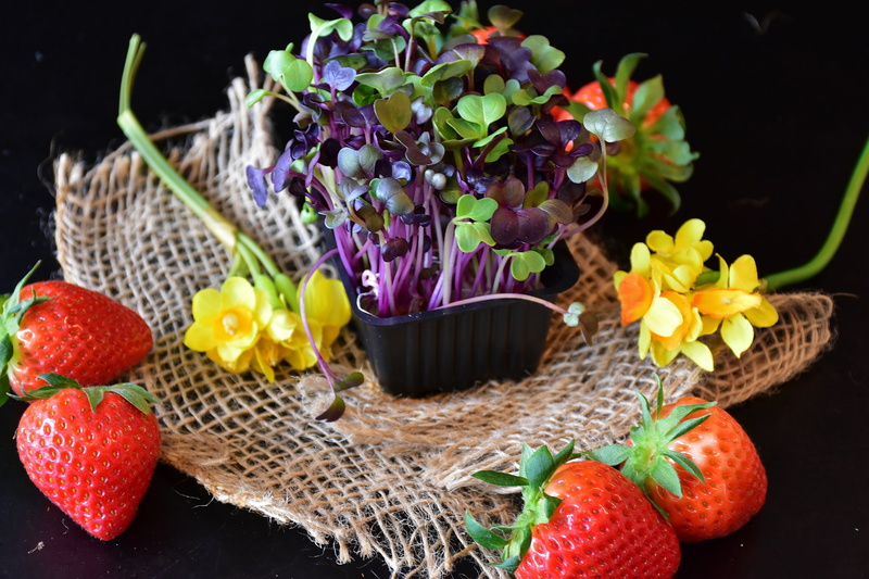 strawberries, ripe, leafed, flower, fruits, multi colored, color game, bouquet, vegetarian, yellow, plants, purple, studio shot, variation, flower arrangement