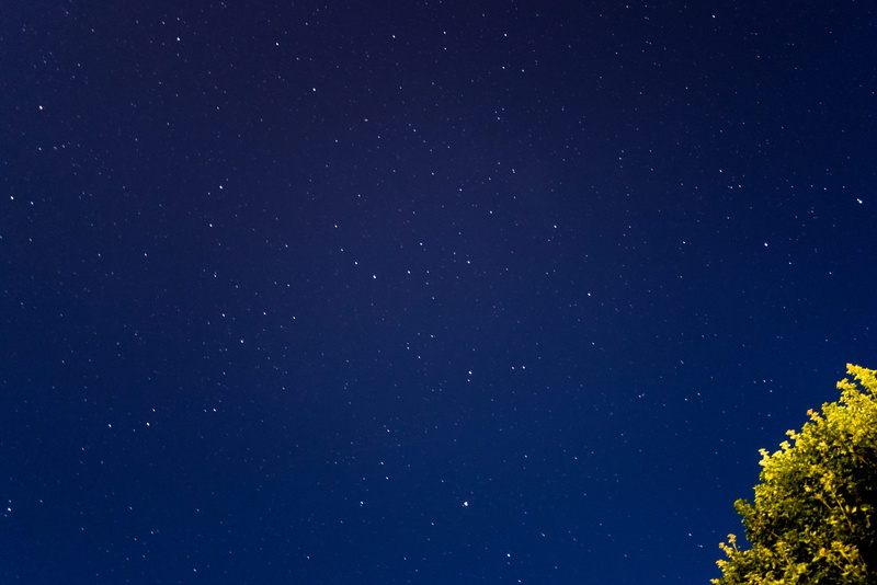 5K, star field, star - space, vancouver, outdoors, tree, low angle view, beauty in nature, astronomy, tranquility, scenics - nature, blue, light, stars