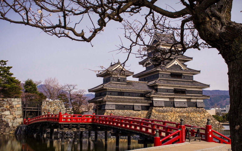 matsumoto castle, plant, no people, travel, day, 1080P, branch, nature, architecture, belief, religion, built structure, water, outdoors, tourism, sky