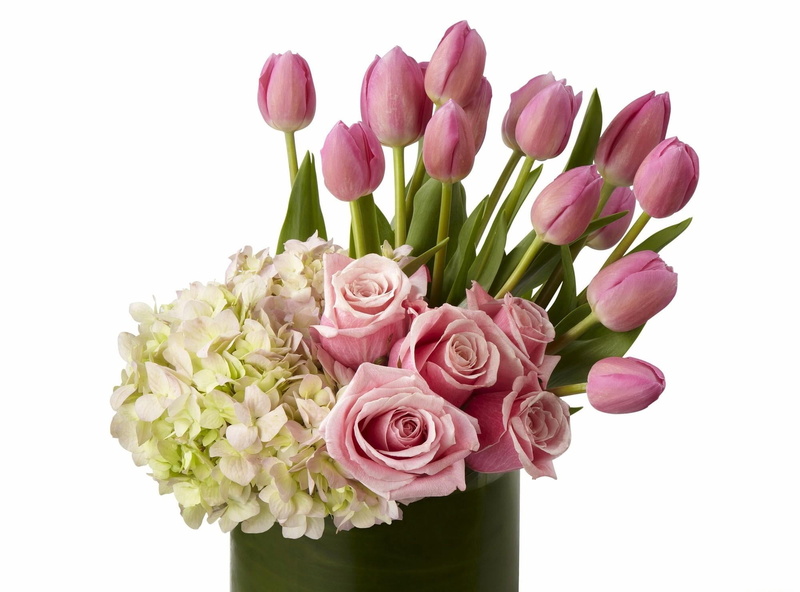 vulnerability, red, romance, freshness, beauty In Nature, love, nature, bunch, leaf, flower, flowers, bunch of flowers, vase, pink, rose, tulip, gift, tulips