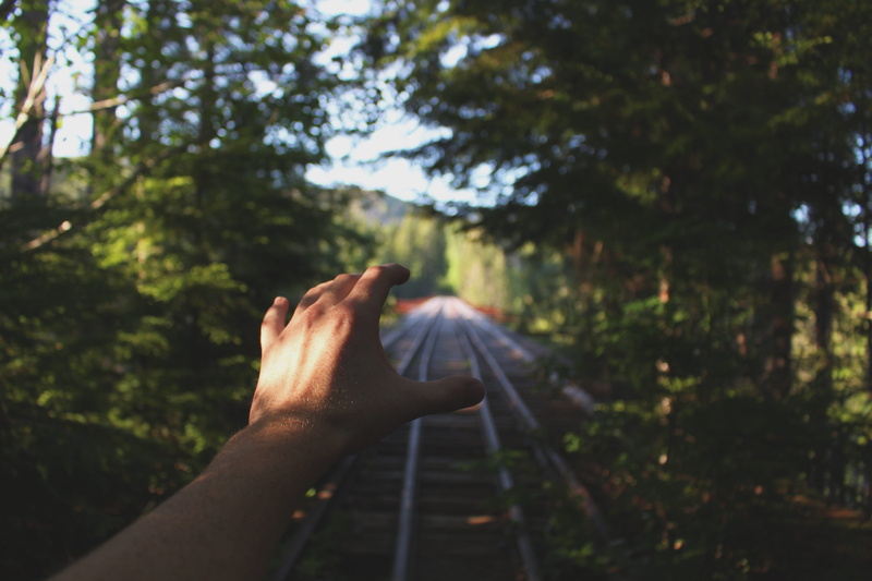 human limb, reaching, sunlight, green, unrecognizable person, body part, hand, plant, lifestyles, one person, day, train, beside, rails, trees, nature